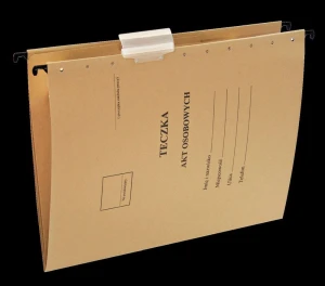 Teczka zawieszkowa Esselte A4 - siarczanowy 230 g (15212)