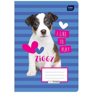 Zeszyt Interdruk A5 16k. 70 g czysty (ZE16KFG)